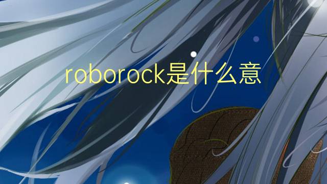 roborock是什么意思 roborock的翻译、读音、例句、中文解释