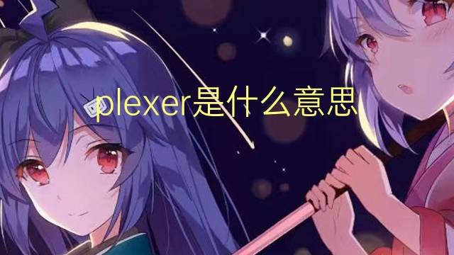 plexer是什么意思 plexer的翻译、读音、例句、中文解释