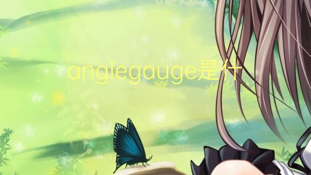 anglegauge是什么意思 anglegauge的翻译、读音、例句、中文解释