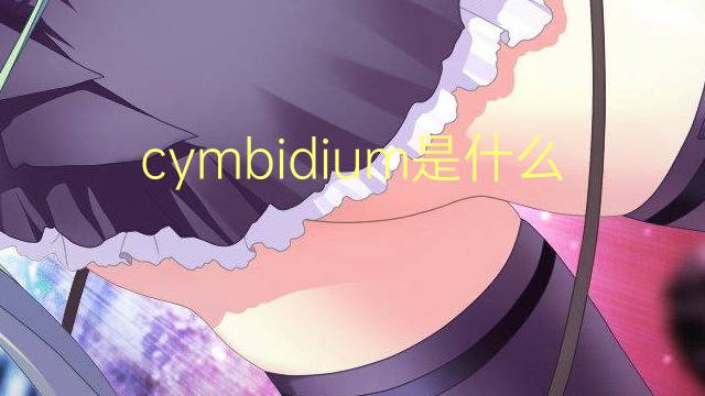 cymbidium是什么意思 cymbidium的翻译、读音、例句、中文解释