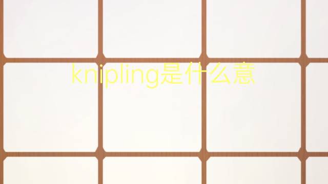 knipling是什么意思 knipling的翻译、读音、例句、中文解释