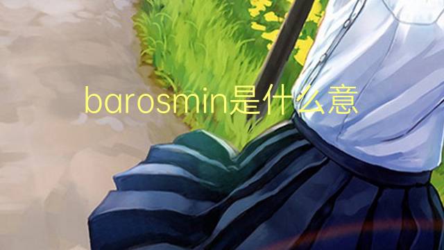 barosmin是什么意思 barosmin的翻译、读音、例句、中文解释