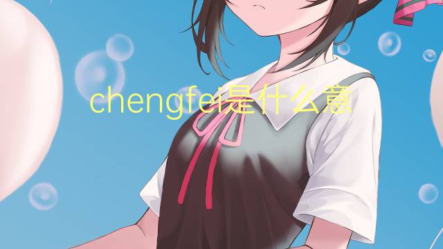 chengfei是什么意思 chengfei的翻译、读音、例句、中文解释