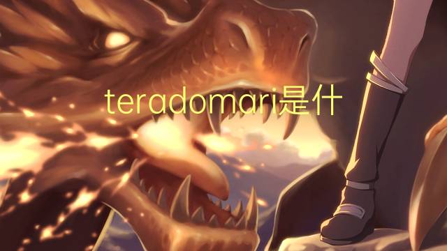 teradomari是什么意思 teradomari的翻译、读音、例句、中文解释
