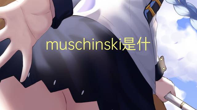 muschinski是什么意思 muschinski的翻译、读音、例句、中文解释