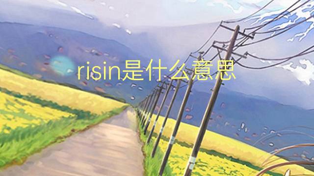risin是什么意思 risin的翻译、读音、例句、中文解释