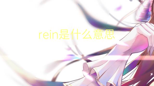 rein是什么意思 rein的翻译、读音、例句、中文解释