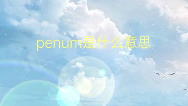 penum是什么意思 penum的翻译、读音、例句、中文解释